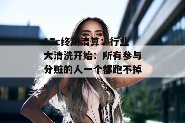 17c终局清算：行业大清洗开始：所有参与分赃的人一个都跑不掉。
